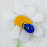 Ladybirds!