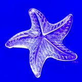 Starfish