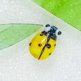 Ladybirds!
