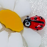 Ladybirds!