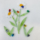 Ladybirds!