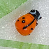 Ladybirds!