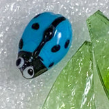 Ladybirds!