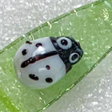 Ladybirds!