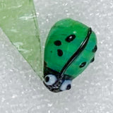 Ladybirds!