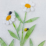 Ladybirds!
