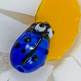Ladybirds!