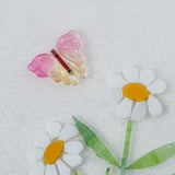 Butterflies - Fancy Wings - Large