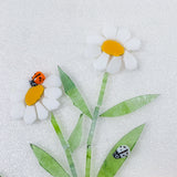 Ladybirds!