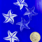 Starfish