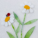 Ladybirds!