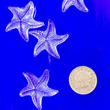 Starfish