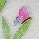 Butterflies - Fancy Wings - Large