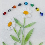 Ladybirds!