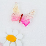 Butterflies - Fancy Wings - Large