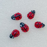 Ladybirds!