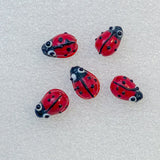 Ladybirds!