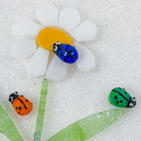 Ladybirds!